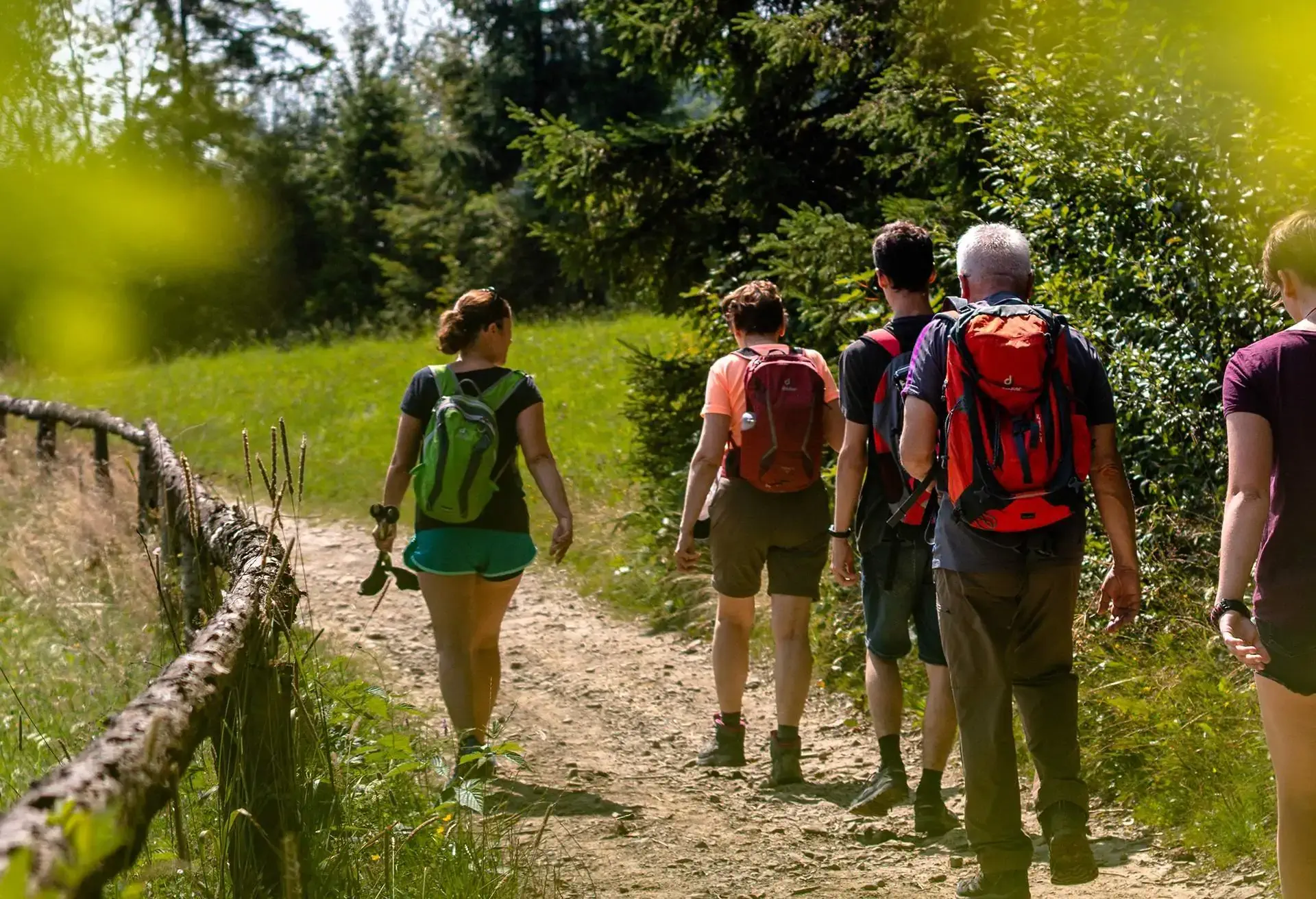 Mountain hikes at Malopolska's 6 national parks