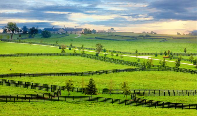 Kentucky