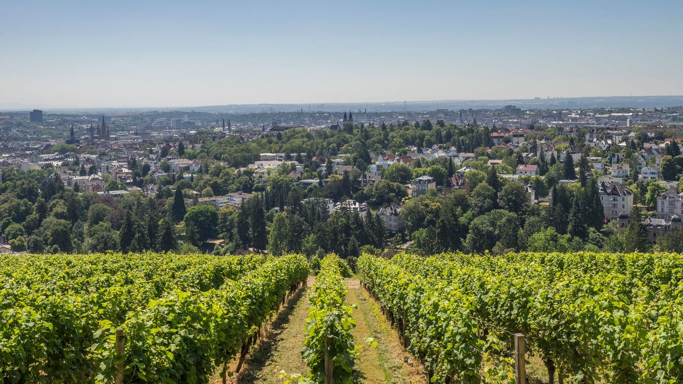 Hotels in Wiesbaden ab 52 € – SWOODOO