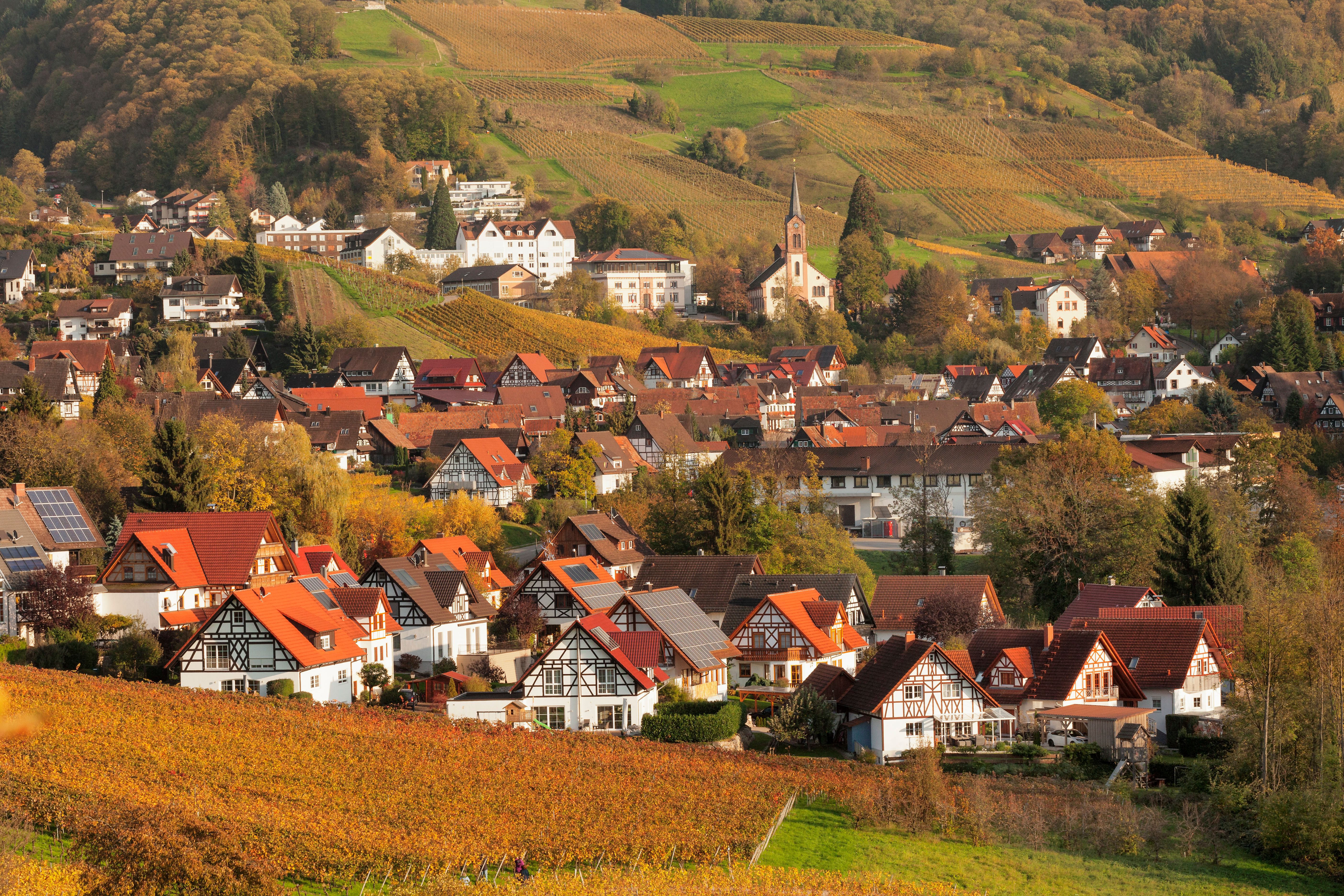 Hotels in Sasbachwalden ab 41 € – SWOODOO