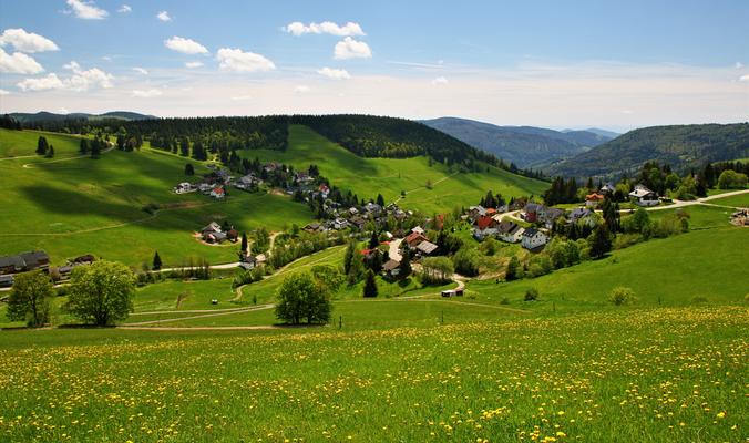 Schwarzwald