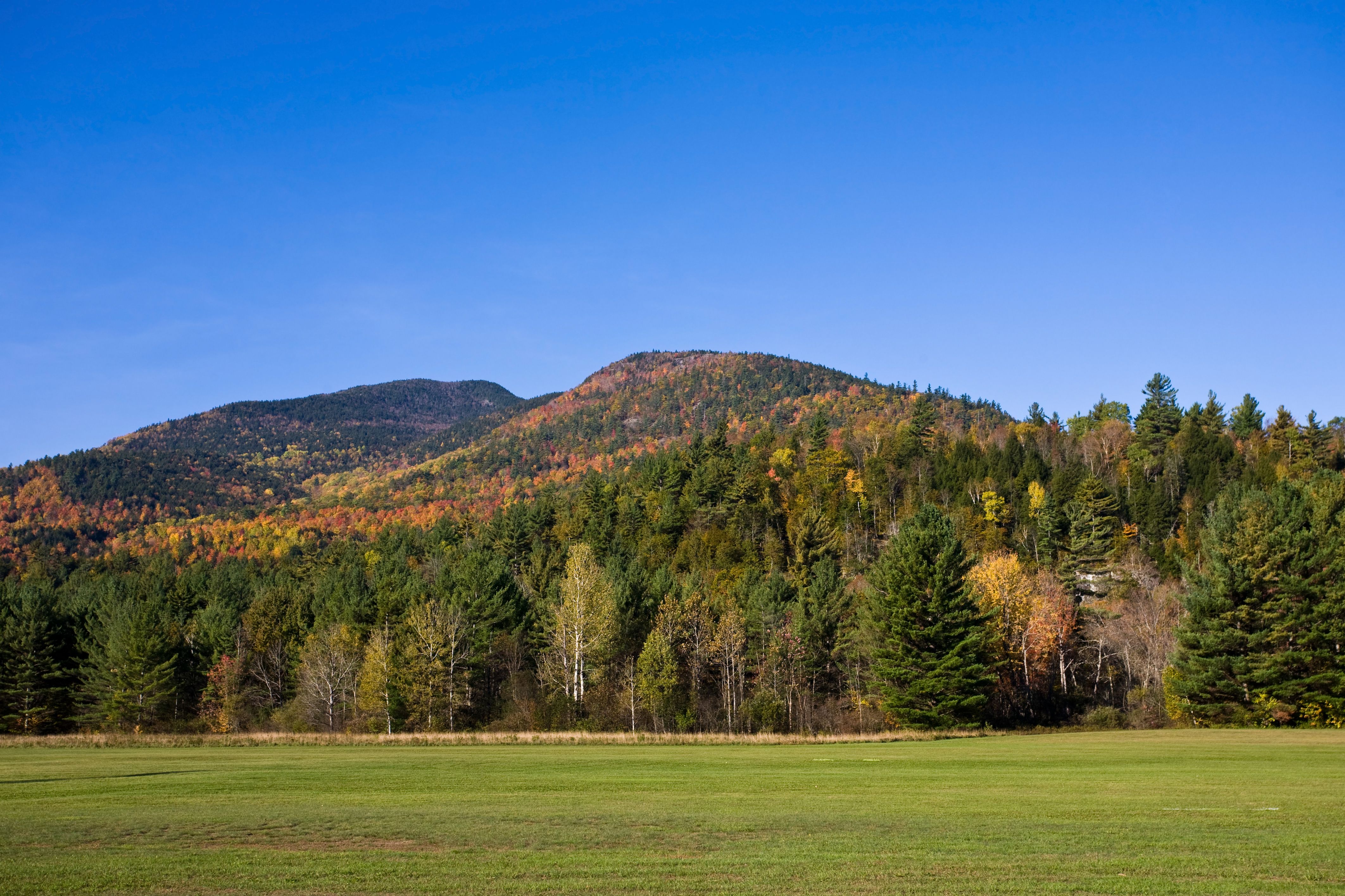 Hotels in Warren ab 114 € SWOODOO