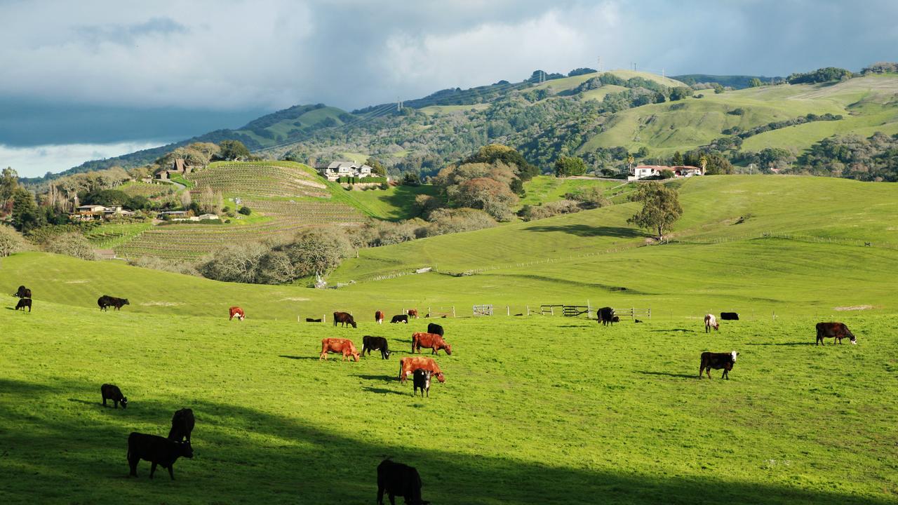 Hotels in Rohnert Park – SWOODOO