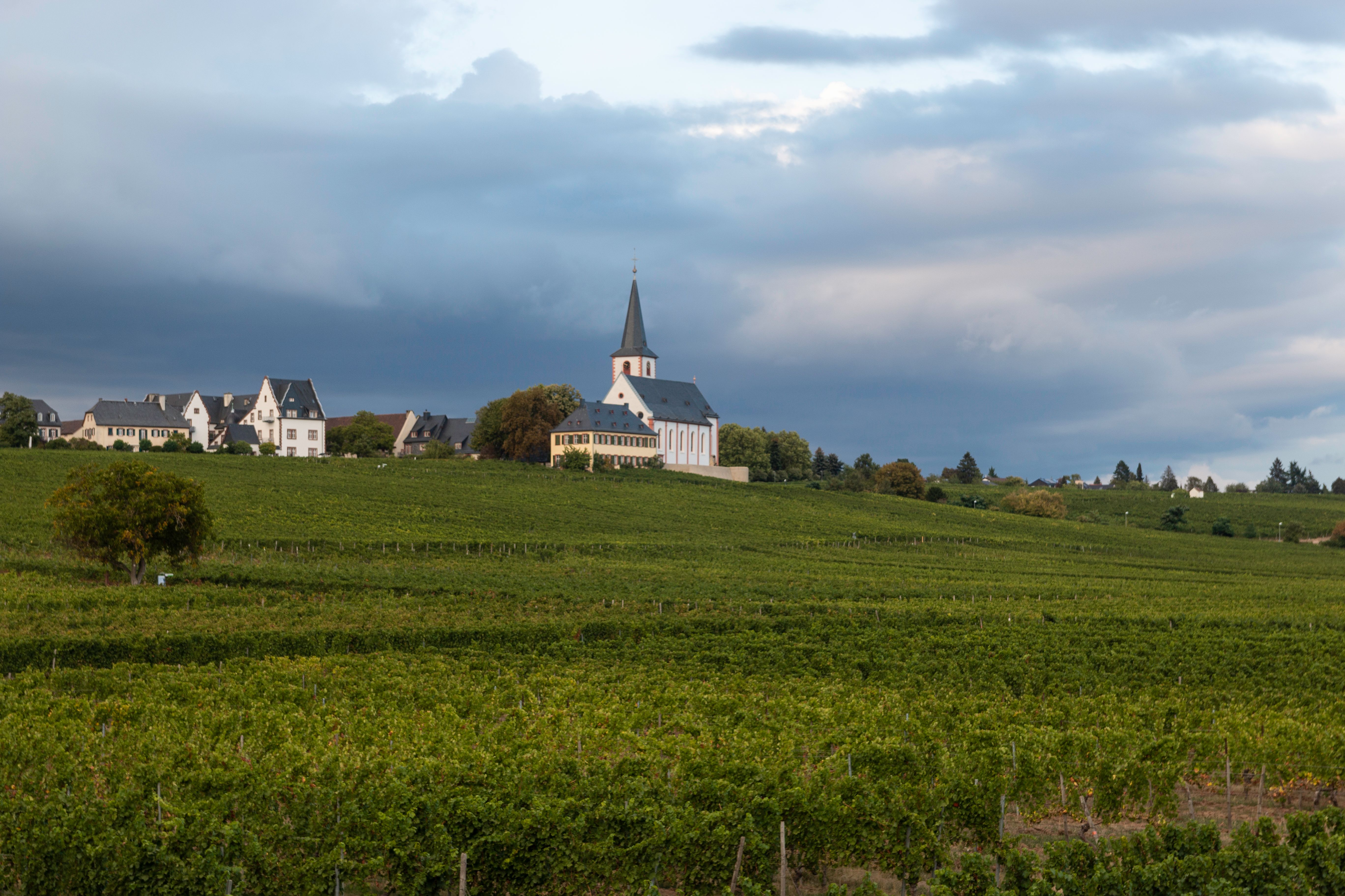 Hotels in Hochheim am Main ab 57 € SWOODOO