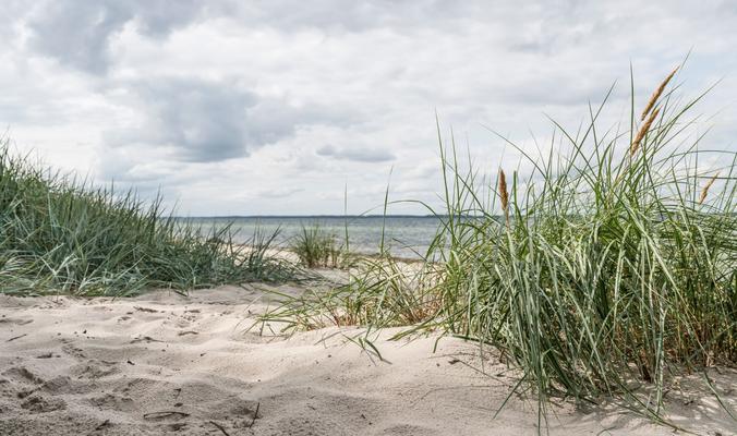 Schleswig-Holstein