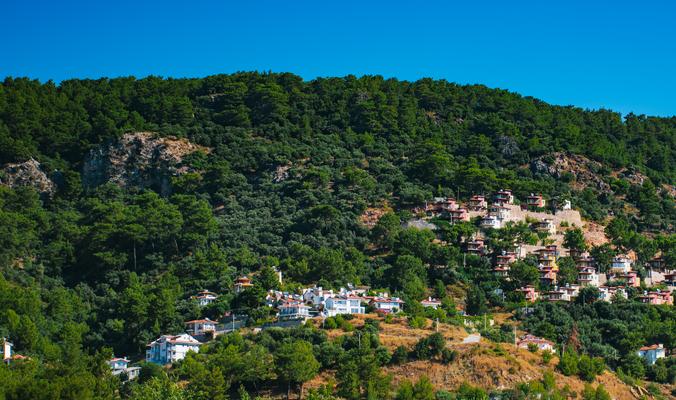 Sarigerme