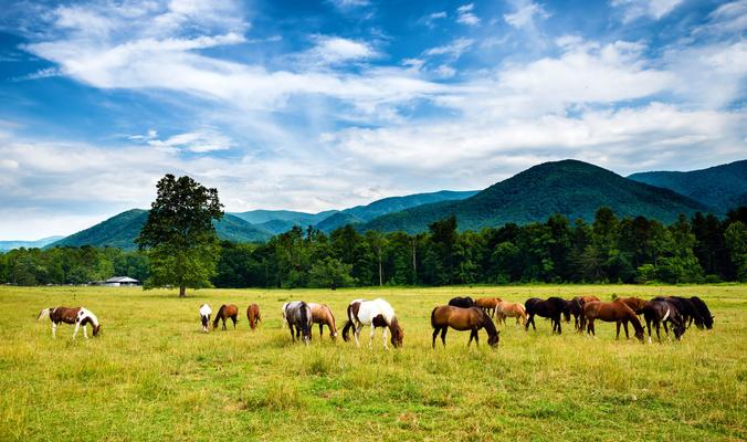 Tennessee