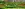 preload