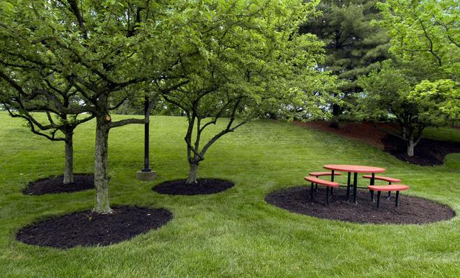 Red Roof Inn Cincinnati Northeast - Blue Ash