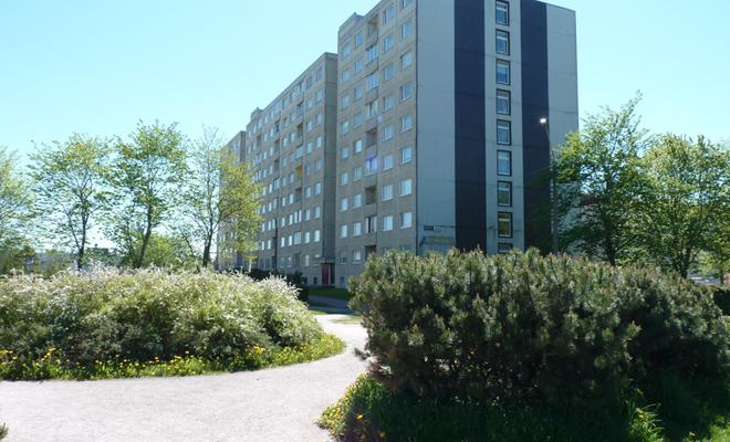 Mahtra Hostel