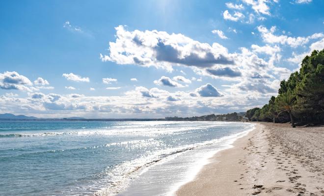 Platja Daurada